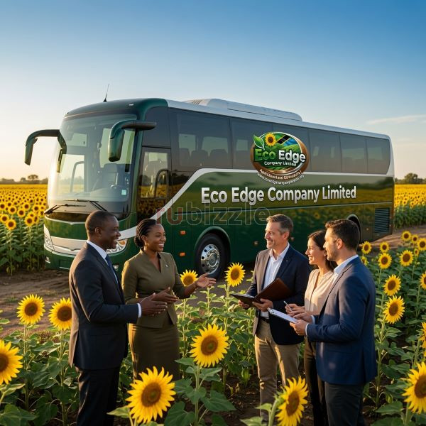 Organic Sunflower oil | High-quality Refined Sunflower oil