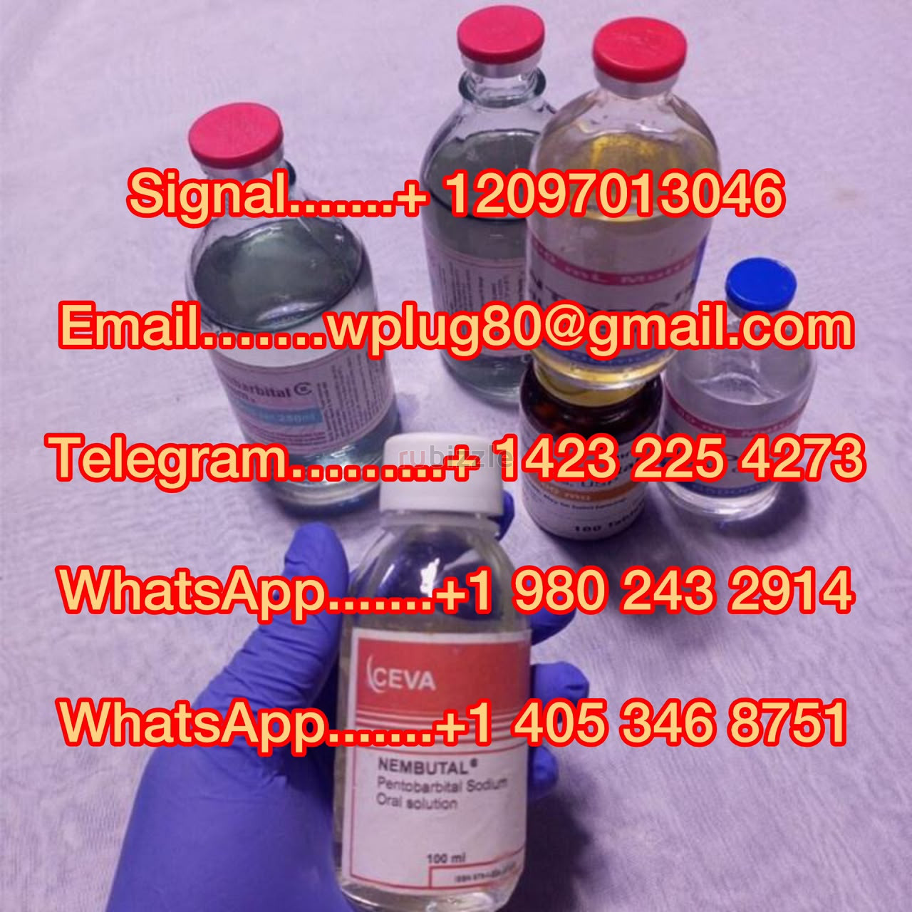 buy nembutal pentobarbital sodium powder liquid order nembutal buy 5cl